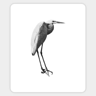 Egret Sticker